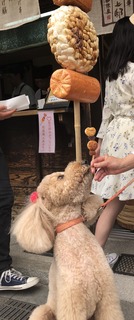 74A963EF-CC79-4ED8-904C-4D06AA5D09F3.jpeg