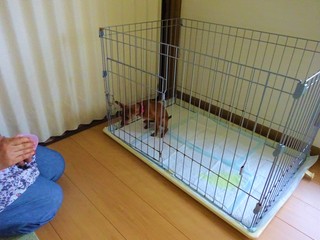 DSC01903.JPG