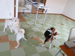 DSC01913.JPG