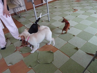 DSC01926.JPG