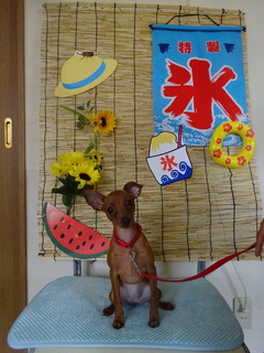 DSC01956.JPG