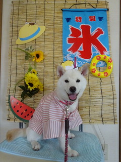 DSC01958.JPG