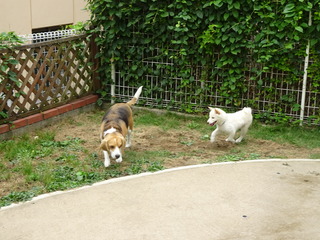 DSC09771.JPG