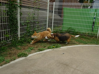 DSC09777.JPG