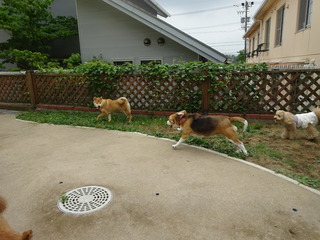 DSC09778.JPG