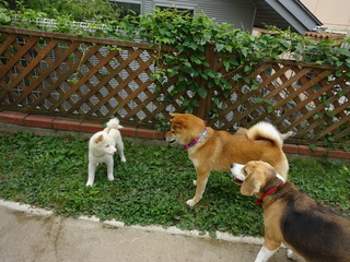 DSC09782.JPG