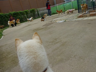 DSC09787.JPG