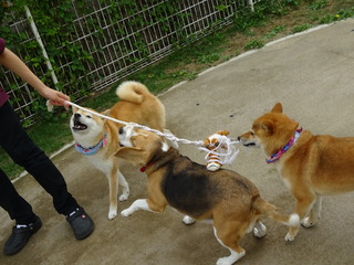 DSC09815.JPG