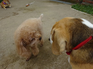 DSC09832.JPG