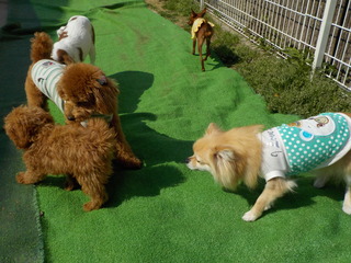 DSCN8506.JPG