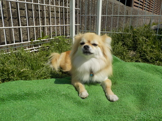 DSCN8558.JPG