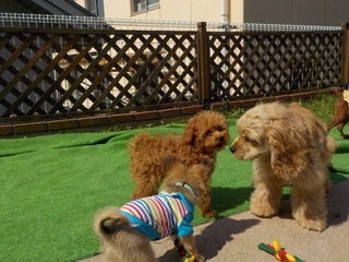 DSCN8577.JPG