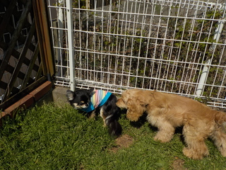 DSCN8586.JPG