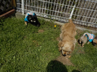 DSCN8587.JPG