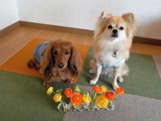 DSCN8598.JPG