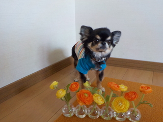DSCN8607.JPG
